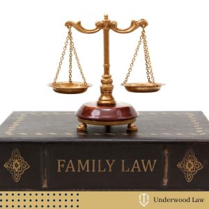 Justice scale placed on top of a Family Law book 