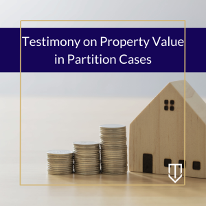 underwood-testimony-property-value-partition-cases-300x300